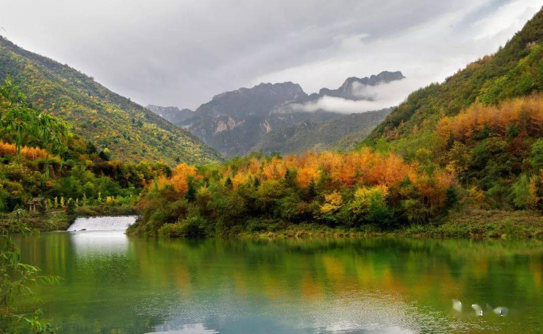 旅游新发现 | 今夏避暑纳凉好去处!21度自然氧吧——官鹅沟