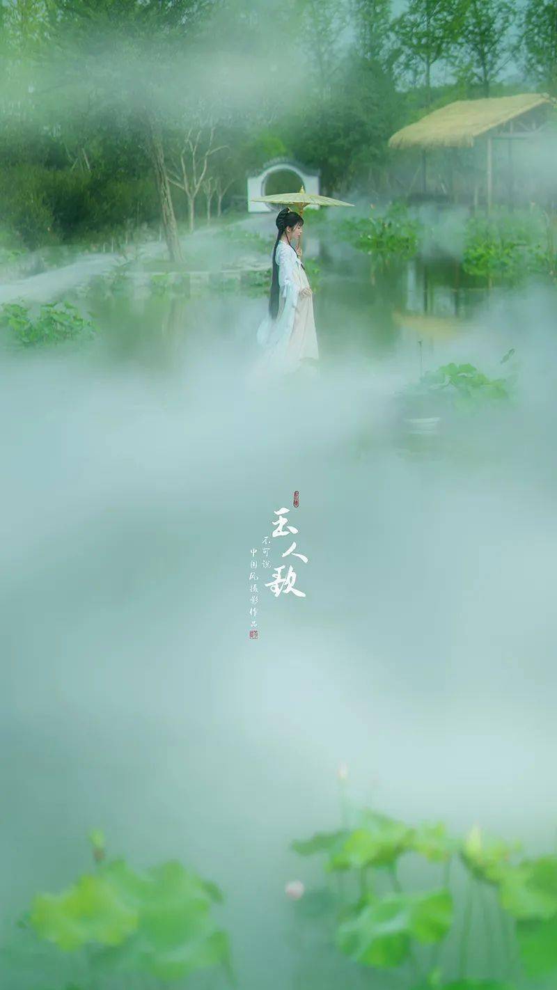 唯美   养生   禅意   慧悟