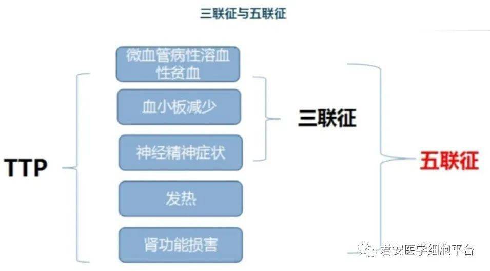 俗称"五联征"或"三联征,典型的"三联征"五联征"并非同时出现.