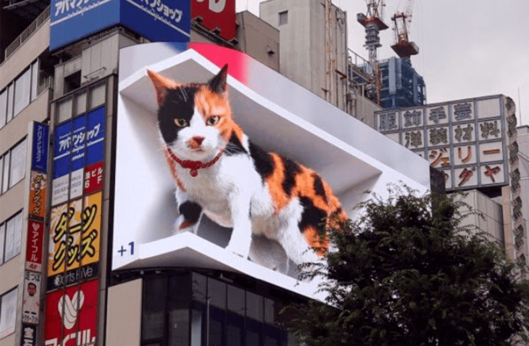日本街头惊现巨猫所有路人都看呆了