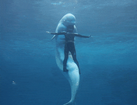 暑期·云南真好玩丨来一场海洋世界的奇妙之旅