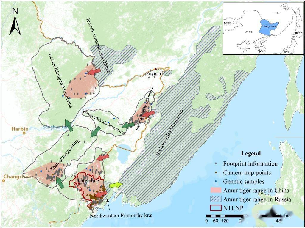 该研究历时6年,覆盖我国所有东北虎分布的栖息地景观斑块,累计布设