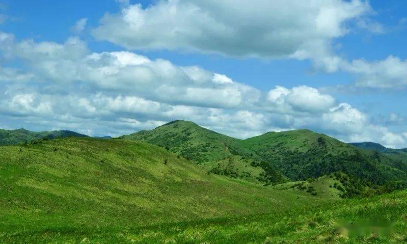 玩转飞渡峡,黄安坝高山草甸美景!