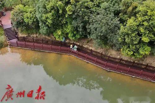 广州市"生态新名片"增城白江湖森林公园开园