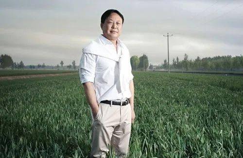 孙大午一审获刑18年!三番两次因何被抓?真相浮出