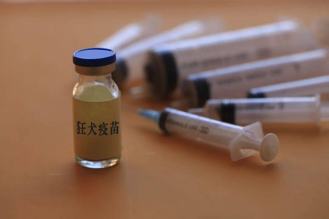 暴跌124亿,一篇文章干翻"东北茅台"_生长激素