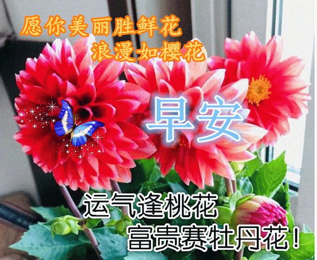 8月5日最漂亮早上好动态表情图片大全,早上好动图美图