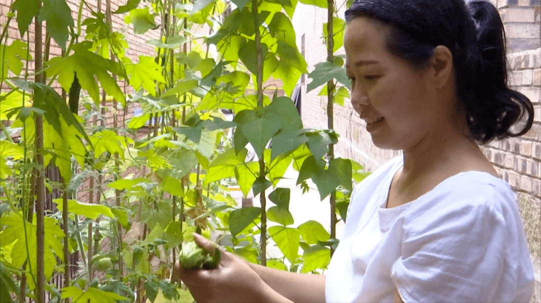 就是这样一个热心公益的家庭沁水县武云霄一家赠人玫瑰 手留余香人们