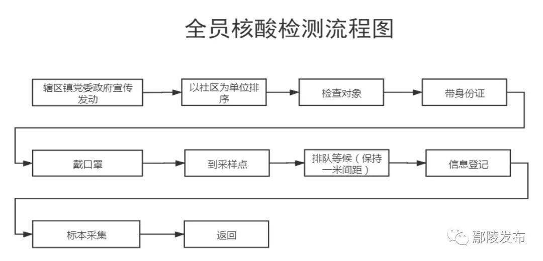 附件:全员核酸检测流程图 鄢陵县新型冠状病毒感染的肺炎  疫情防控