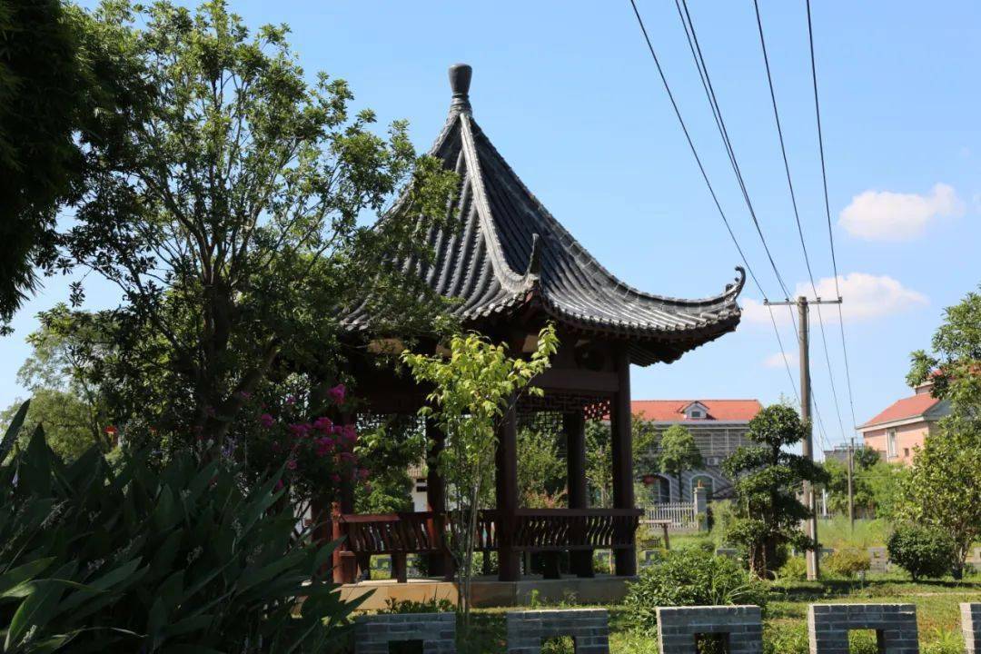 乌山街道团山湖村与长沙荣安泰生态环境科技有限公司开展村企合作