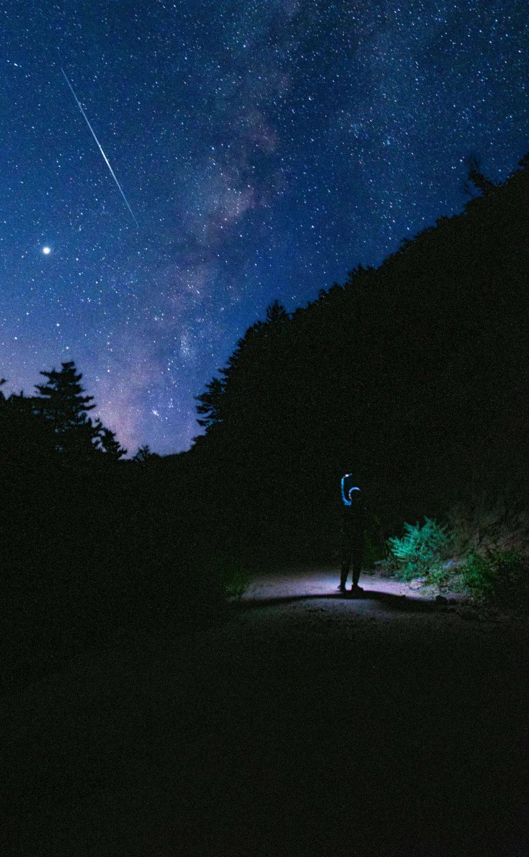 观测|英仙座流星雨将在七夕前达极大值，收好这份指南