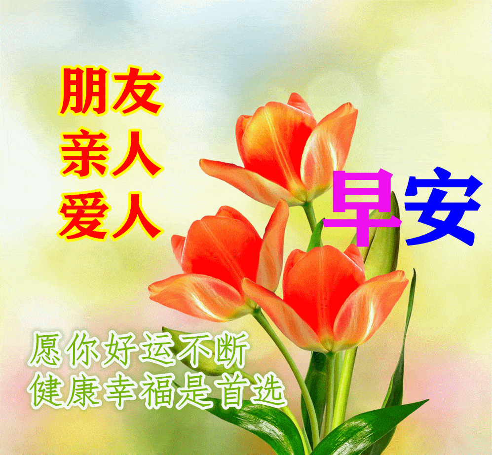 最漂亮早上好动态表情图片大全,早晨好动图美图大全