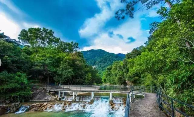 增城森林海温泉度假酒店搞特价~自助早餐 自助晚餐 私家泡池 网红