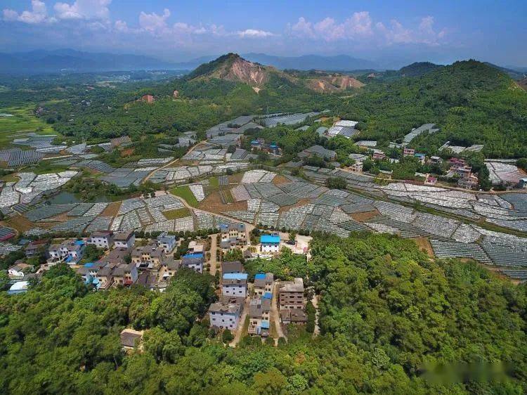 "走进乡村看小康"直播特别节目》走进桂林市全州县才湾镇毛竹山村