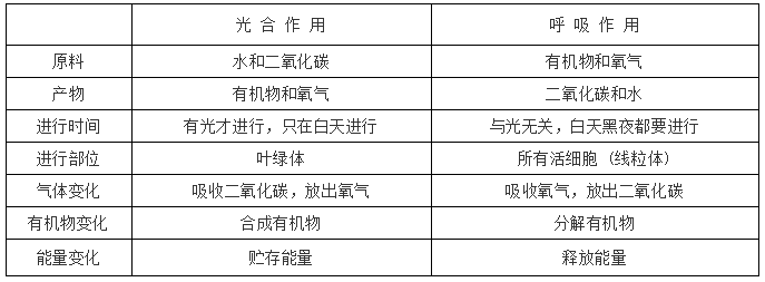 13,绿色植物光合作用与呼吸作用的区别