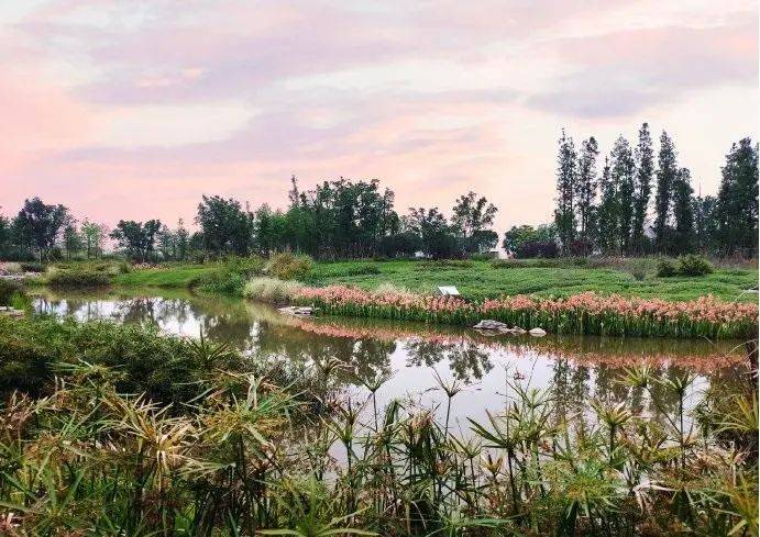 广阳岛,这样绘就巴渝版现代"富春山居图"