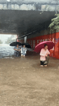 降雨最大值在雨城区多营镇为336.