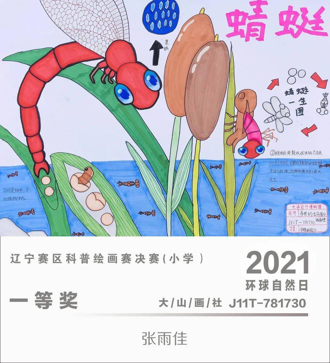 环球自然日2021辽宁赛区科普绘画赛优秀作品赏析