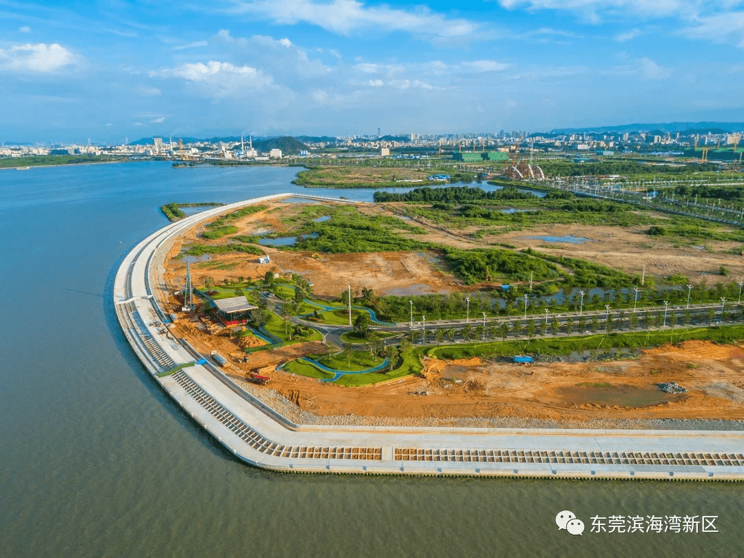 滨海湾新区一批重大项目即将开工涉及威远岛路网公园