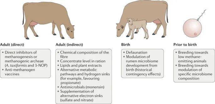 主要内容2甲烷减排策略我们能否减少反刍动物的甲烷排放量,并维持人类