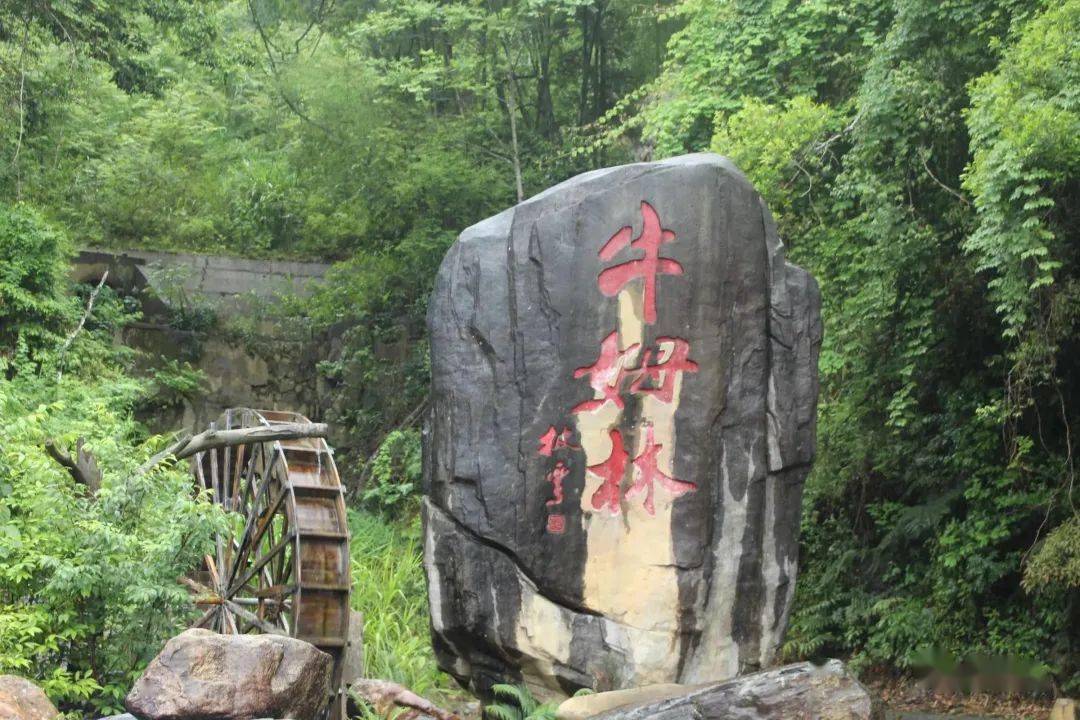 再次打开某度搜索"永春旅游",你会看到"牛姆林,北溪文苑,天沐温泉