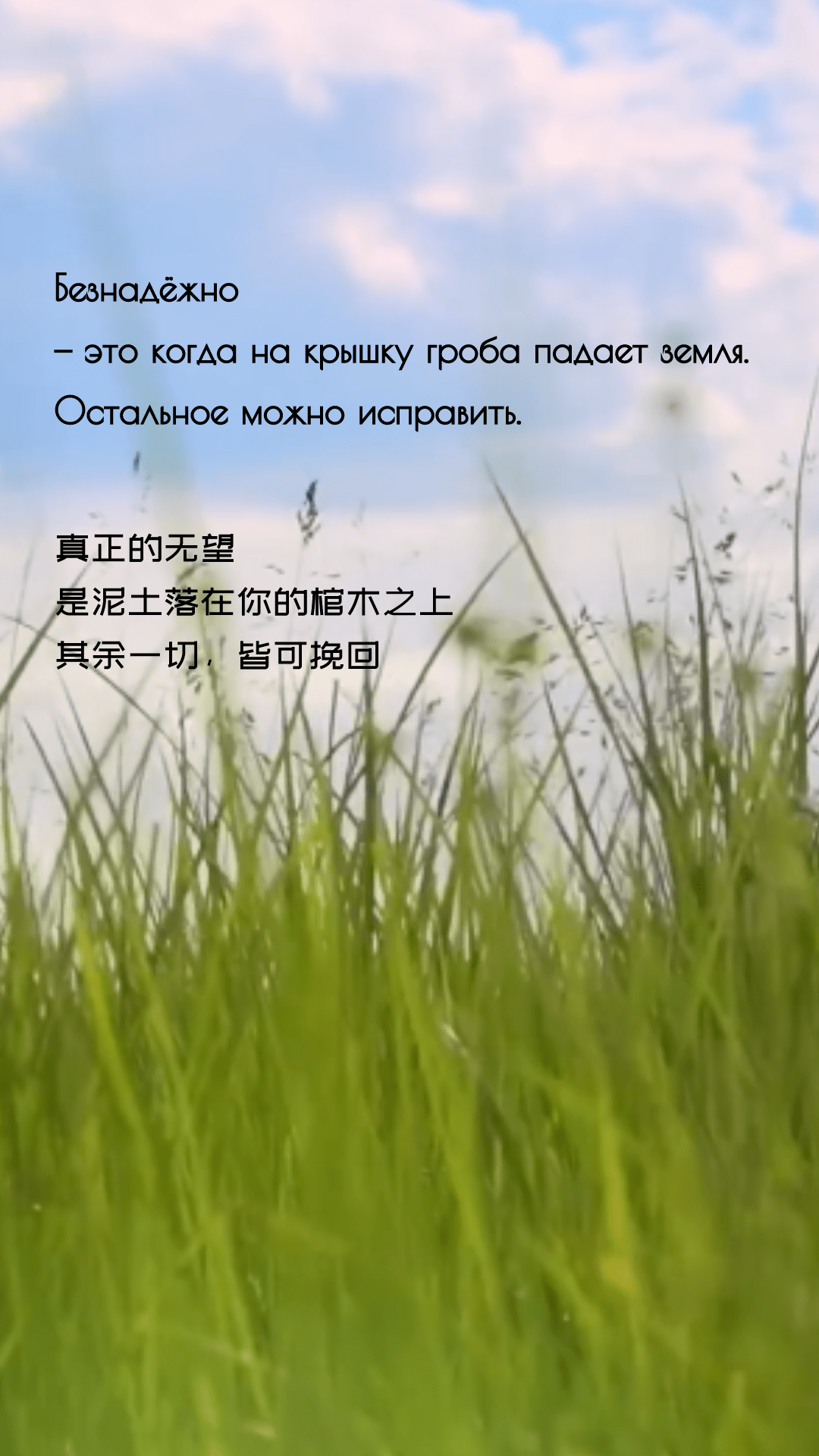 俄语美文:不要过早地放弃希望