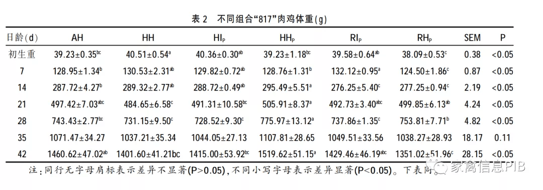 241日龄体重:38-41克由下图表可知:一般817孵化出壳初始体重在38-41克