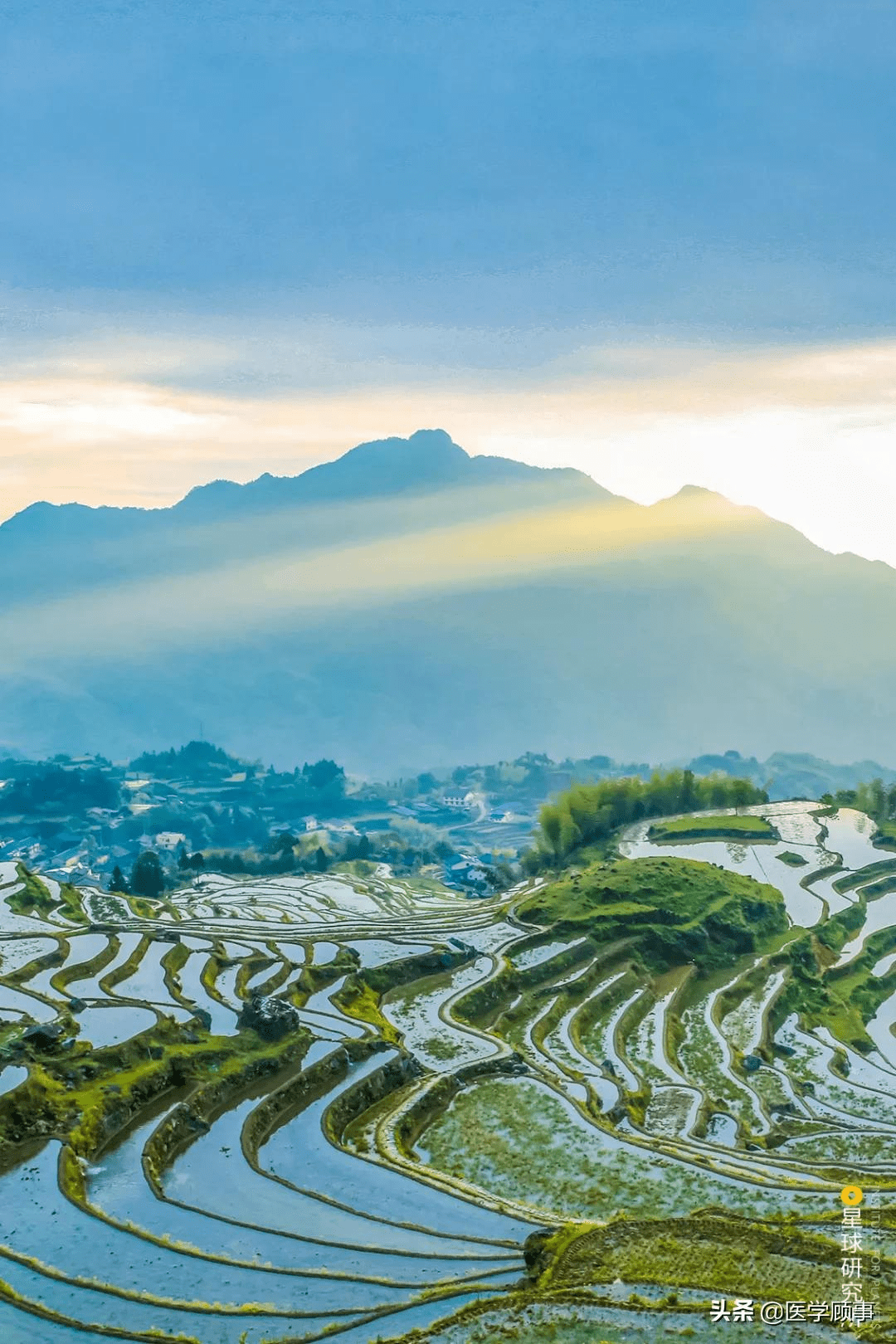 ▼(浙江丽水云和梯田,摄影师@张进)多达700多级在山谷中蜿蜒迂回,连绵