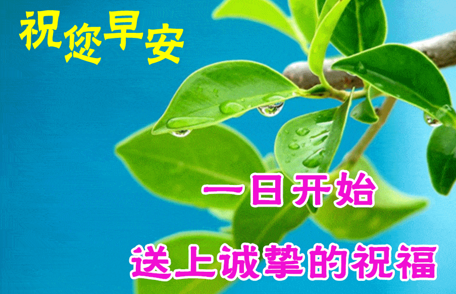 8月24日最漂亮早上好动态表情图片大全早上好动图美图大全