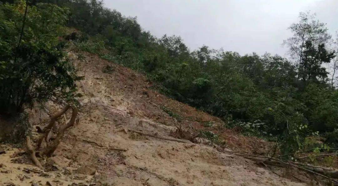 (来源:镇巴发布) 8月22日,碾子镇遭受大暴雨突袭,全镇道路,电力,通讯