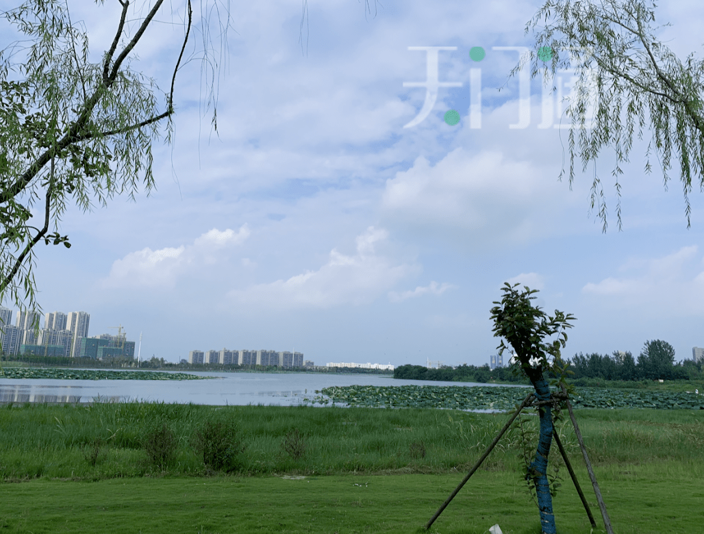 天门北湖传出消息…_北湖公园