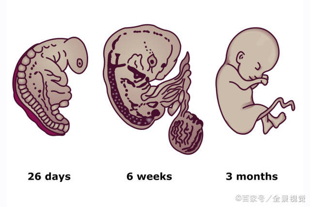怀孕多久就能感觉到胎动了 不同孕周胎动感觉不一样,孕妈收藏
