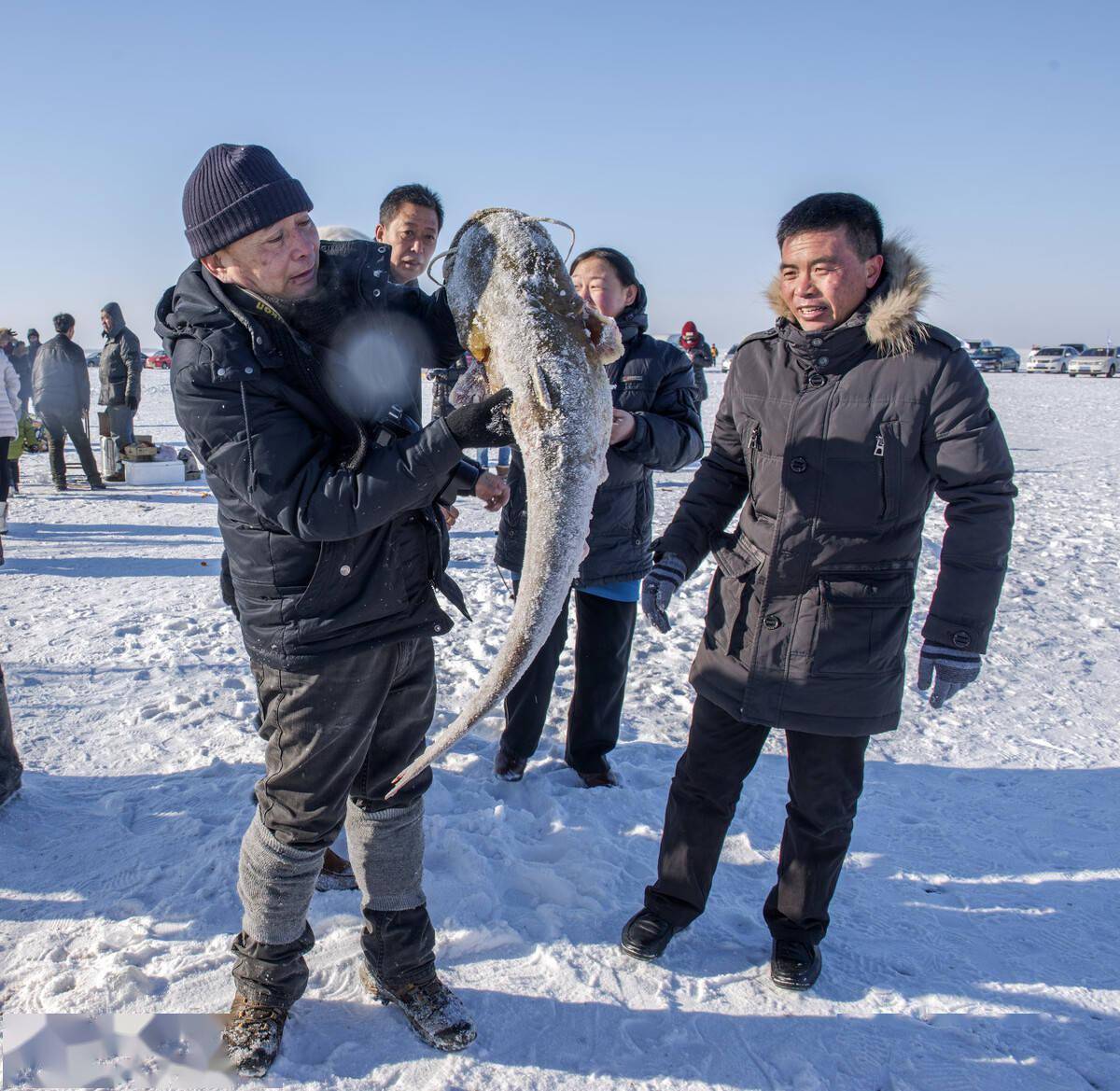 查干湖冬捕和头鱼拍卖在收获超高关注度的同时,也引起了广泛的议论和
