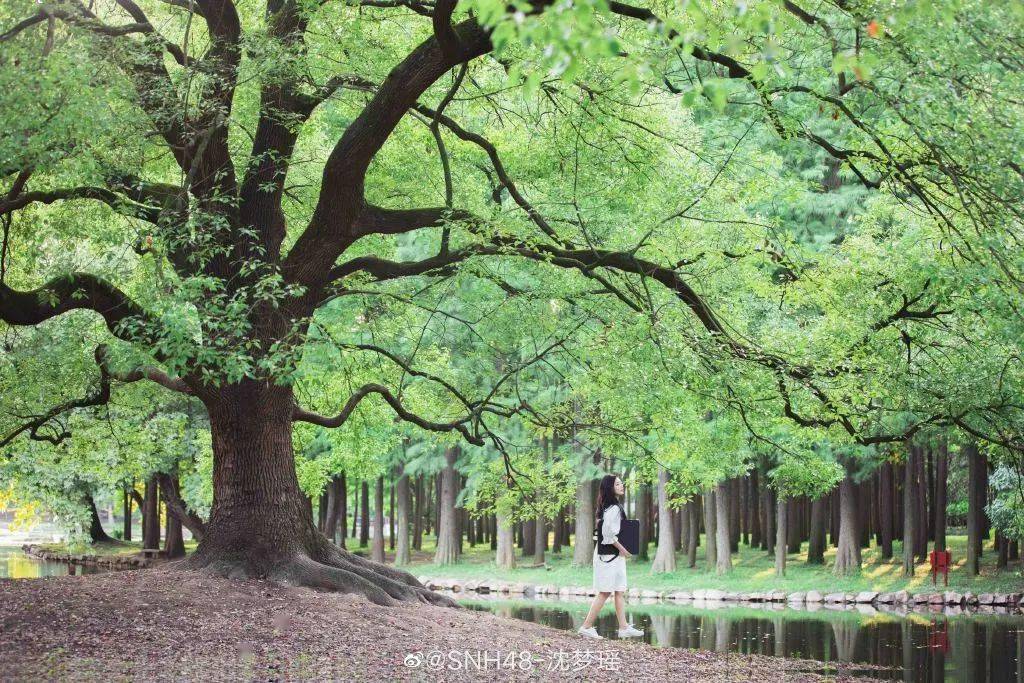 吹着沁凉的风,伴着夏虫呢喃,聆听一曲曲美妙的音乐,这才是夏末的