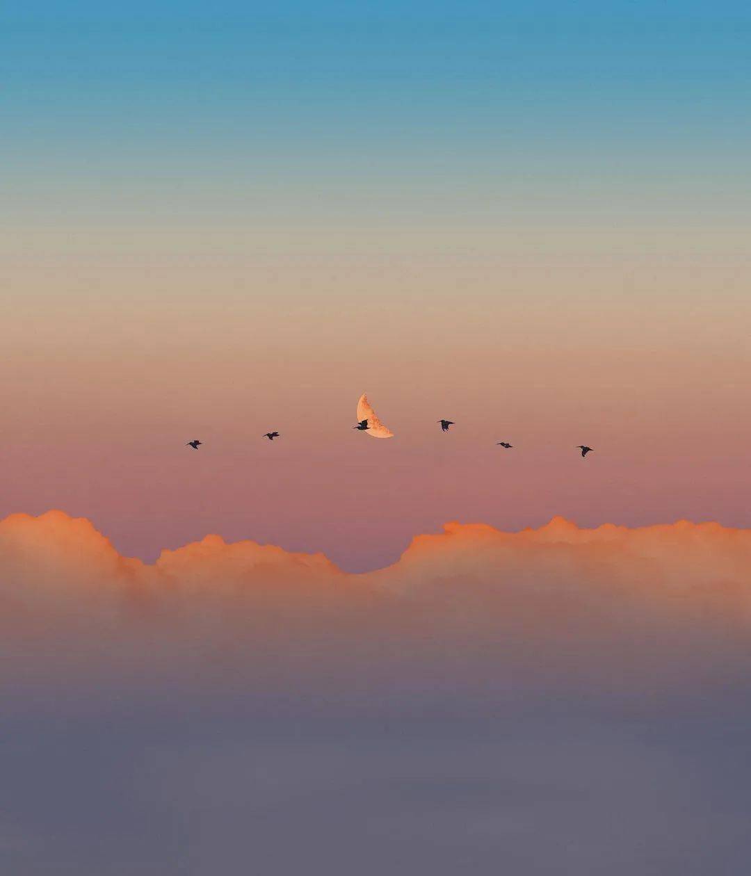 1080_1260