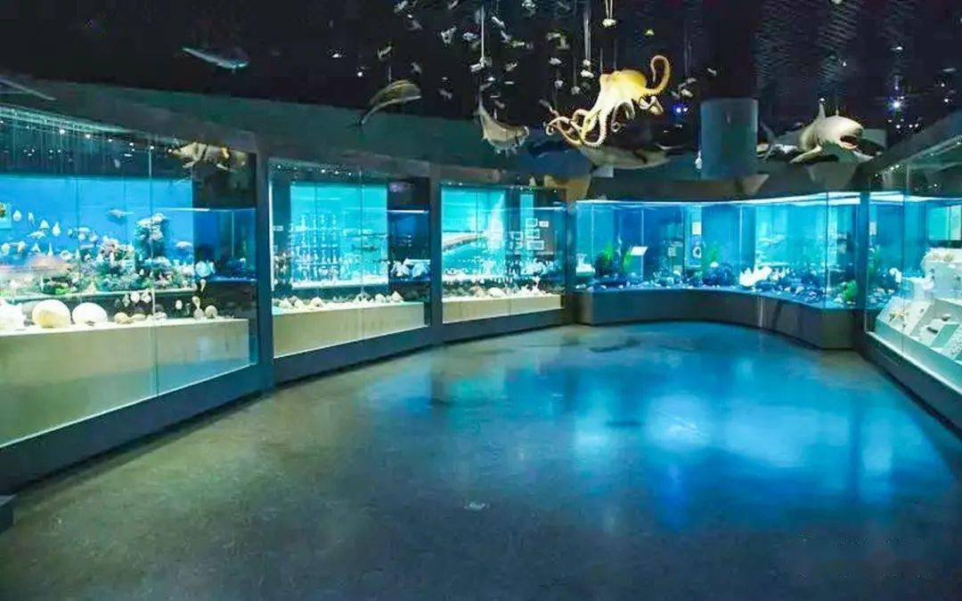 天津自然博物馆海洋生物