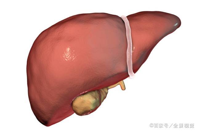 肝脏|肝硬化来临时，上厕所会露出4个“马脚”，占一个都要重视