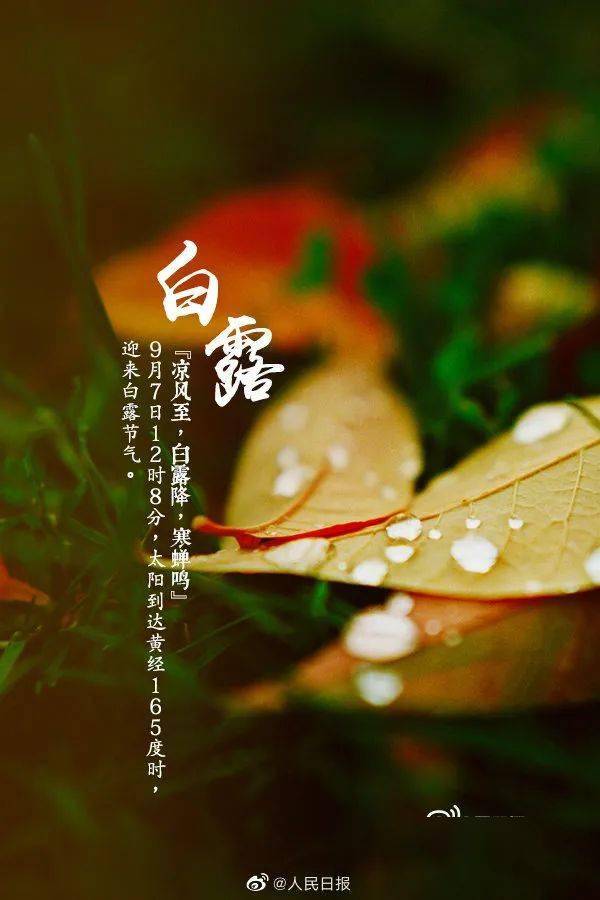 将迎来"白露"节气.