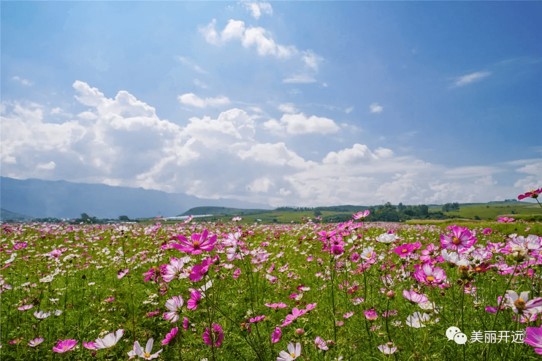 知花小镇