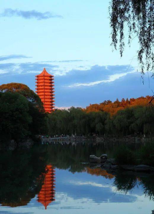 佘殿福未名湖之夏