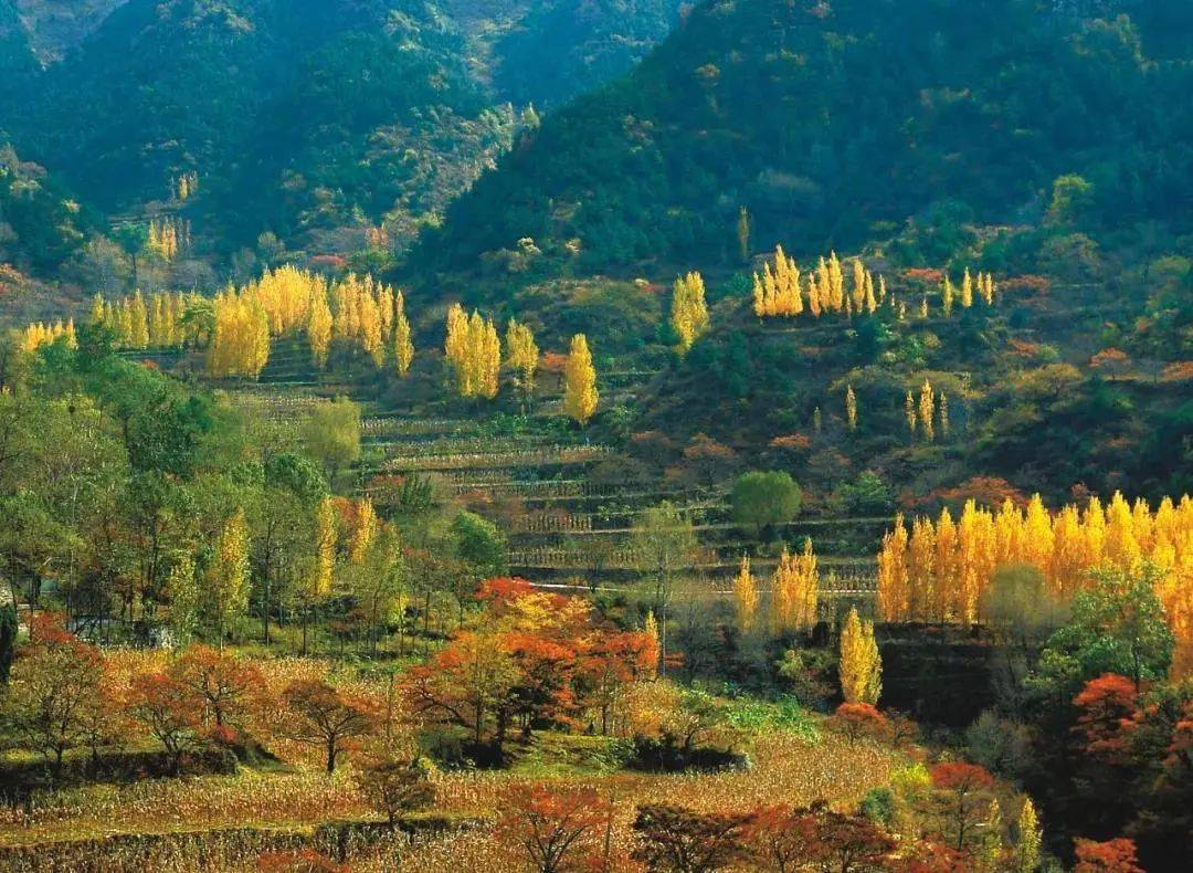 【国庆自驾】2021.10.02普天同庆~游云台山,穿挂壁,观