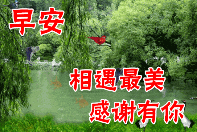 早上好表情包,问候老同学,相遇最美,感谢有你,祝开心快乐!