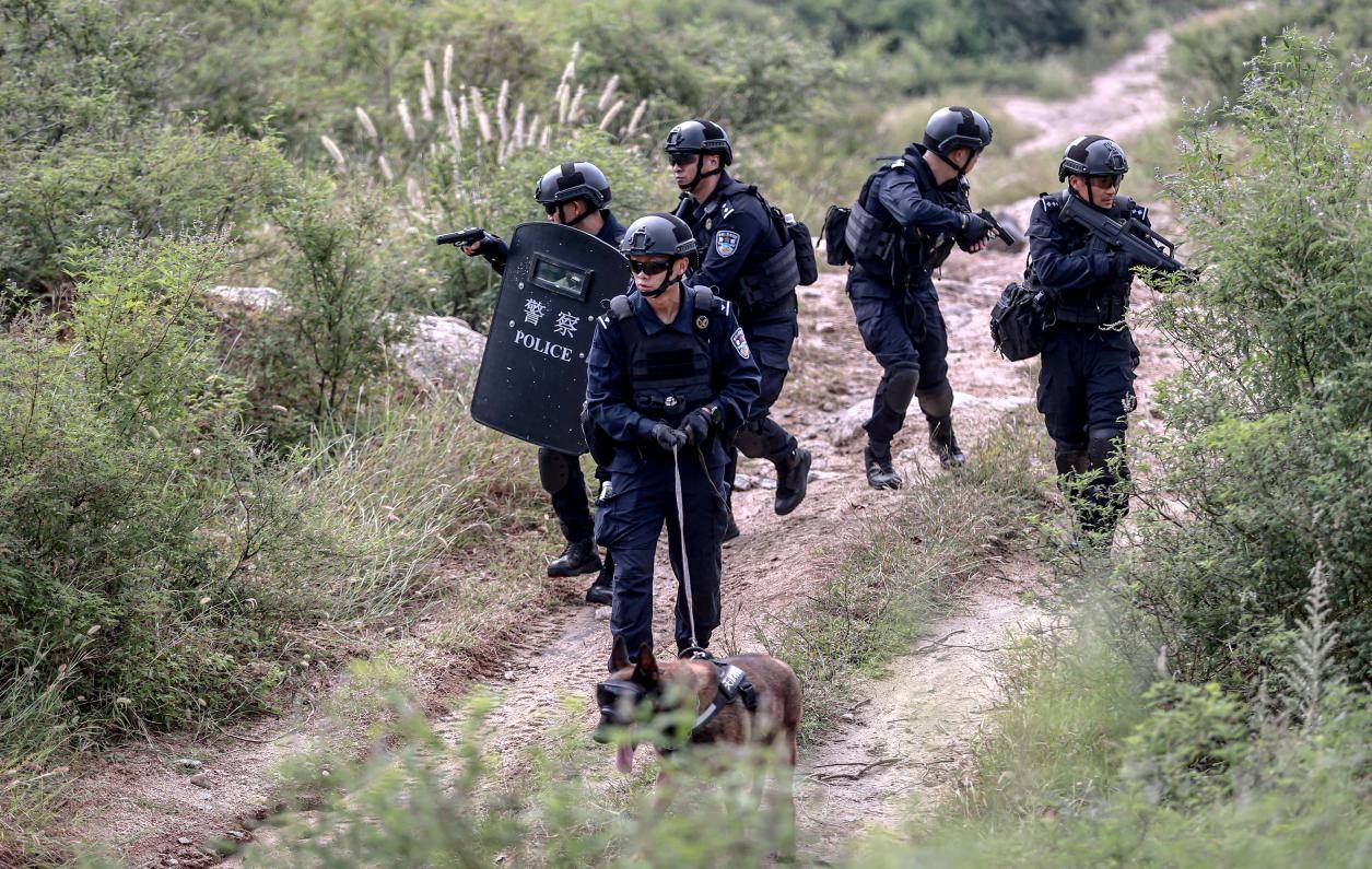 处置野外突发警情(央广网发 天津市公安局特警总队供图) 期间,此次