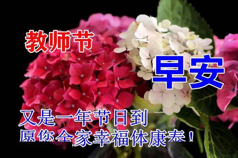 教师节温馨祝福所有老师们动态表情图片,2021最新有创意的教师节祝福