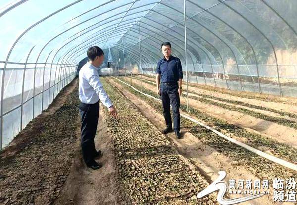 古县张亚丁一行在陈香村调研了解酸枣育苗情况