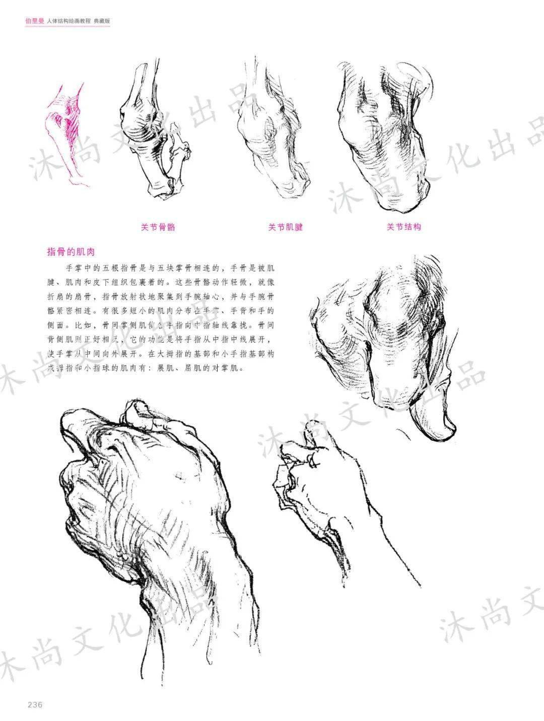 《伯里曼人体结构绘画教程》