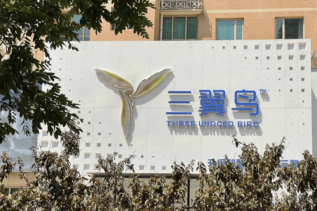 海尔智家转型成效如何?三翼鸟高飞创造新增长点_品牌