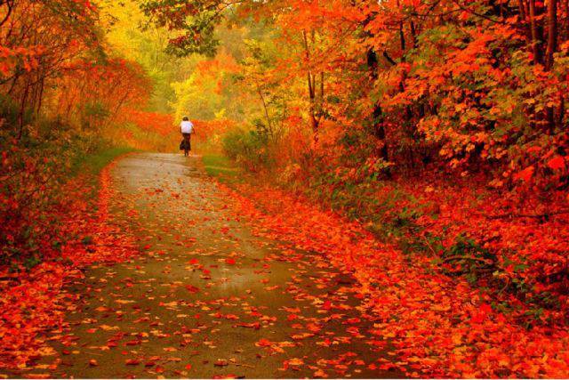 静静想你温和的柔情 留恋大自然的恩赐 依赖暖暖深情的你 秋天的景致