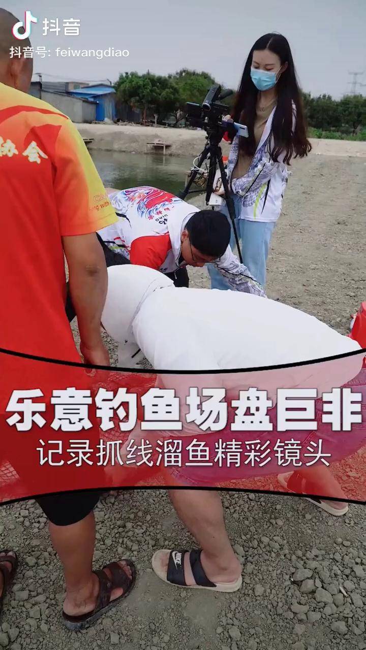 乐意钓鱼场钓大非经典镜头全部记录在内非王钓李闯钓鱼黑坑钓罗非