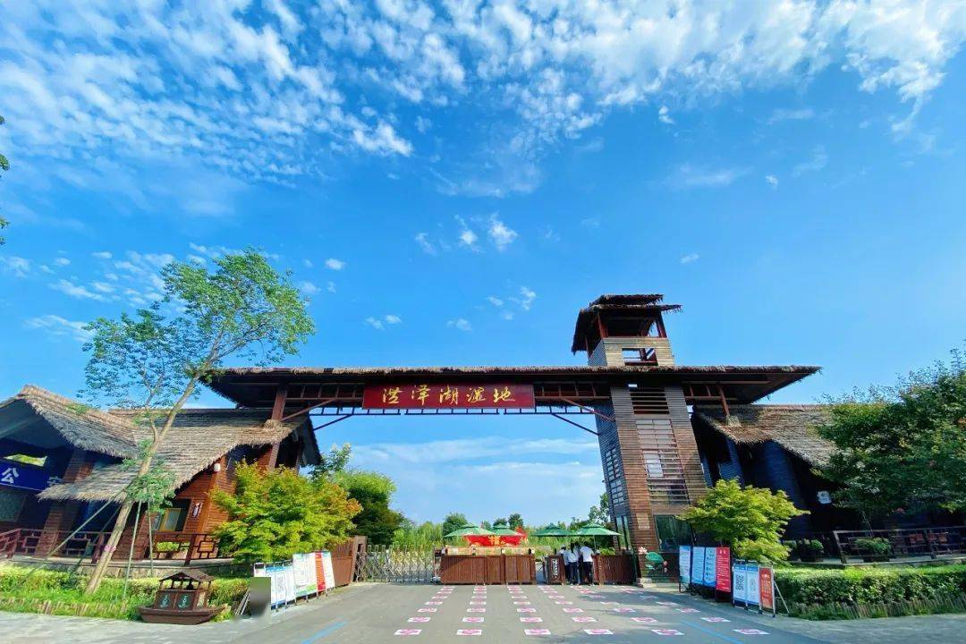 秋意渐浓,让我们一起寻觅藏在洪泽湖湿地的初秋美景